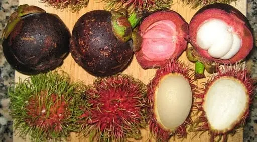 Mangosteen