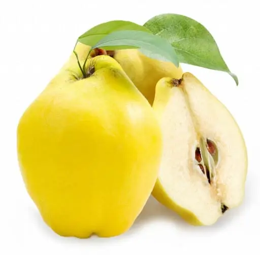 Genomeles (quince)