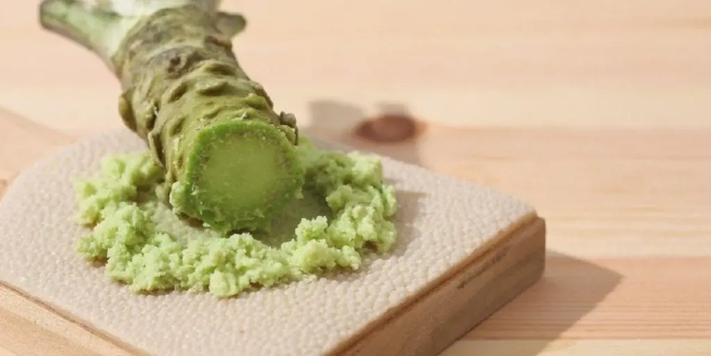 Wasabi &#8211; description of the spice. Health benefits and harms