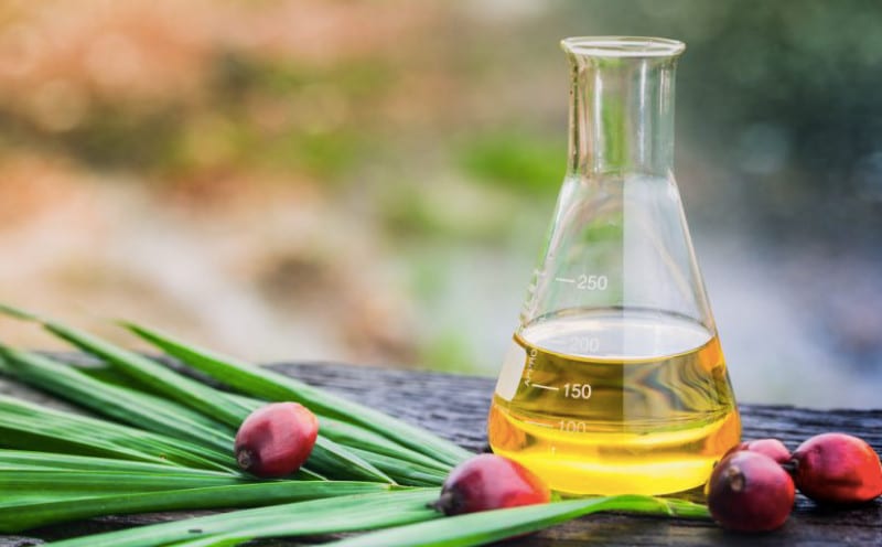 Palm oil &#8211; oil description. Health benefits and harms