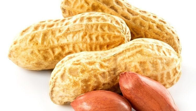 ピーナッツ–カロリー量と化学組成