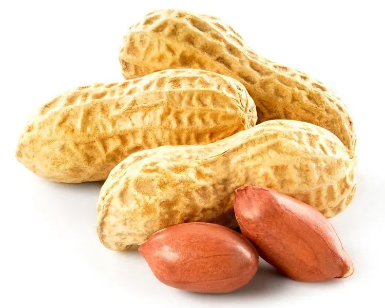 Peanuts &#8211; the calorie content and chemical composition