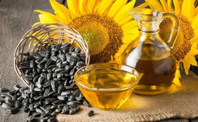 Sunflower oil &#8211; description of the oil. Health benefits and harms