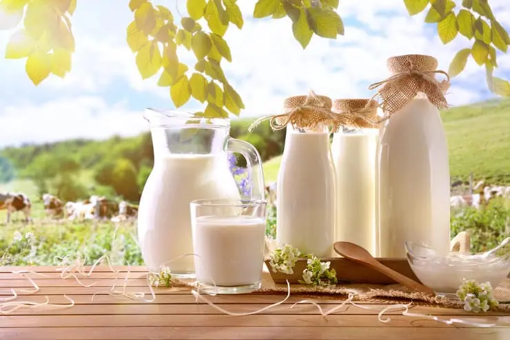 10 myths about milk that need explanation