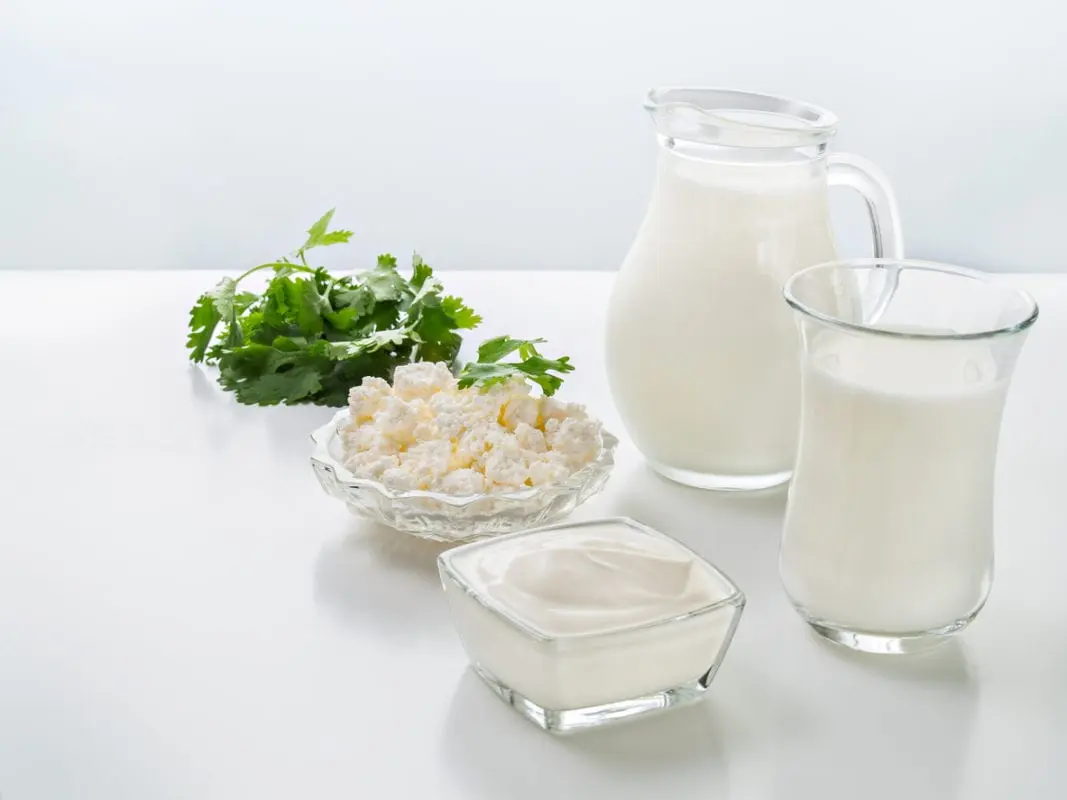 10 myths about milk that need explanation