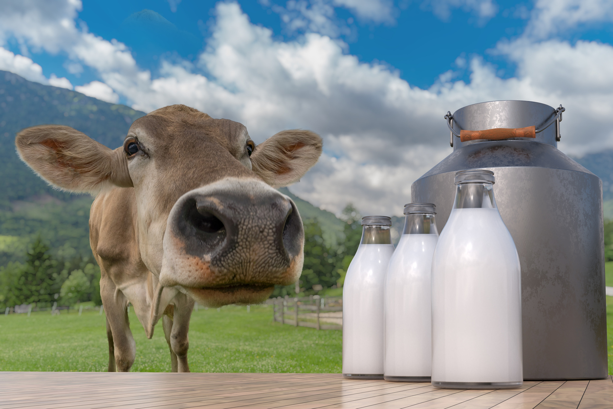 10 myths about milk that need explanation