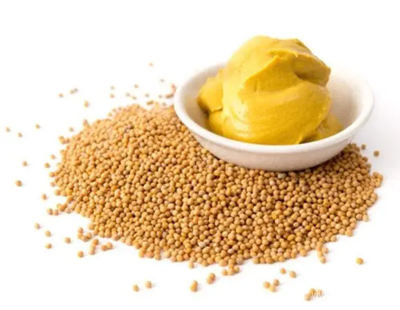 Mustard &#8211; description of the spice. Health benefits and harms