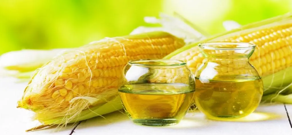 Corn oil &#8211; oil description. Health benefits and harms