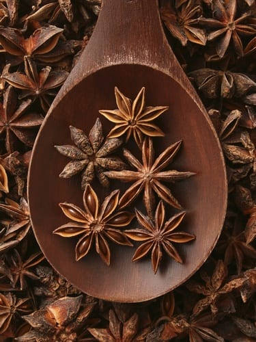 Anise &#8211; a description of the spice. Health benefits and harms