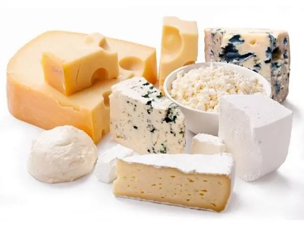 Cheese &#8211; product description. 40 most popular types of cheese