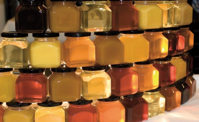 Types of Honey.蜂蜜的类型。 Features and description of honey types蜂蜜类型的特征和描述