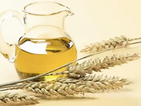 Wheat germ oil &#8211; description of the oil. Health benefits and harms