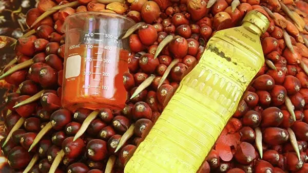 Palm oil &#8211; oil description. Health benefits and harms