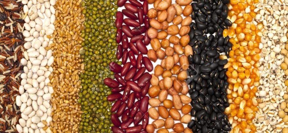 乾穀物–卡路里含量和化學成分