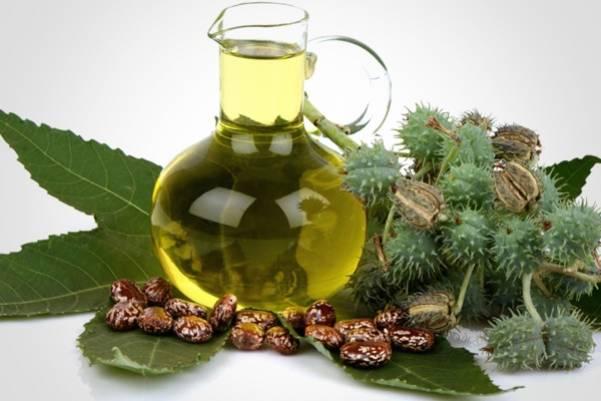 Pecan oil &#8211; description of the oil. Health benefits and harms