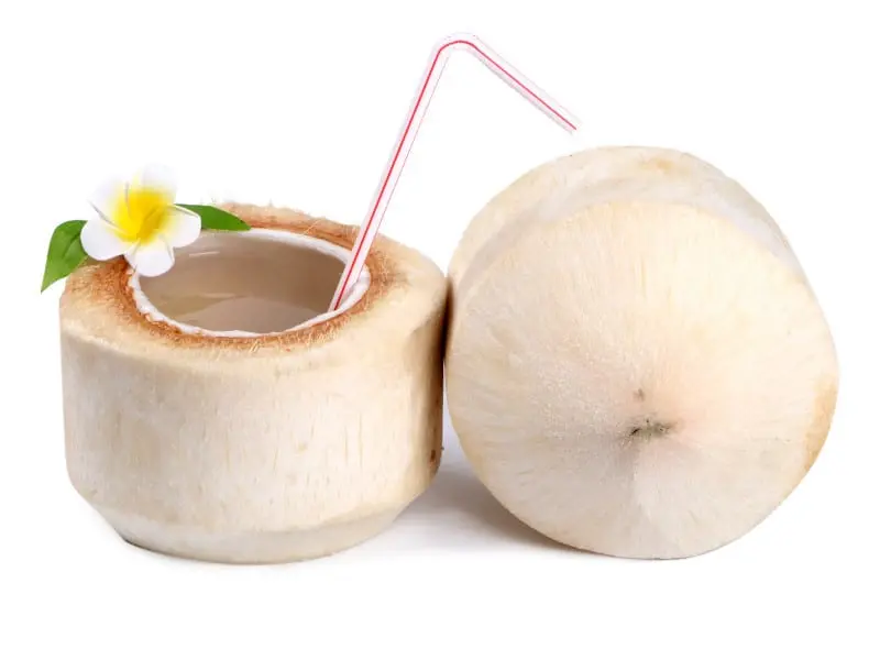 Coconut &#8211; description of the nut. Health benefits and Harms