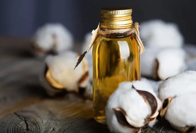 Cottonseed oil &#8211; description of the oil. Health benefits and harms