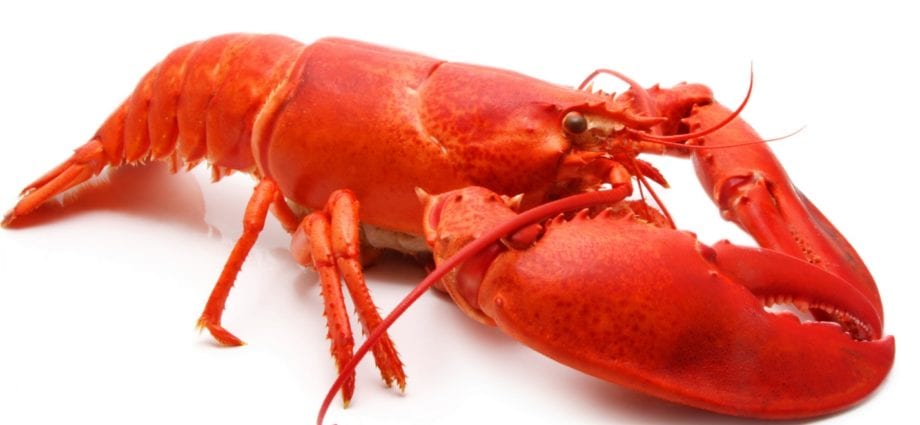 Crayfish - ọdịnaya calorie na ihe mejupụtara kemịkal