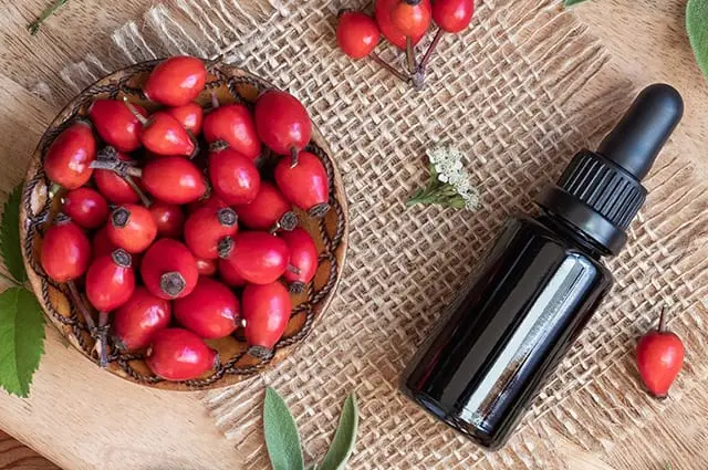 Rosehip oil &#8211; a description of the oil. Health benefits and harms