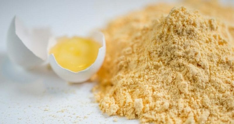 Egg powder &#8211; calorie content and chemical composition