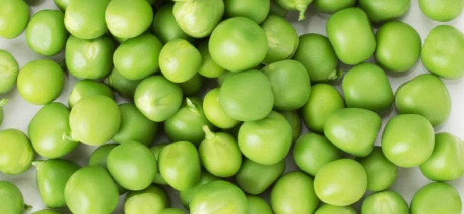エンドウ豆（穀物）–カロリー量と化学組成