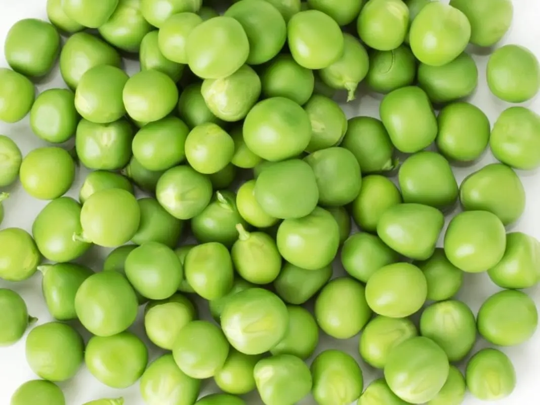 Pea (grain) &#8211; calorie content and chemical composition