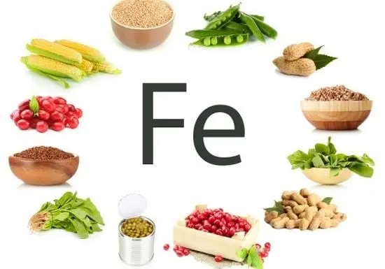 Table of iron content in foods