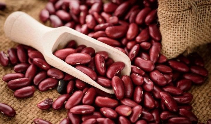 Kidney Beans (grain) &#8211; calorie content and chemical composition