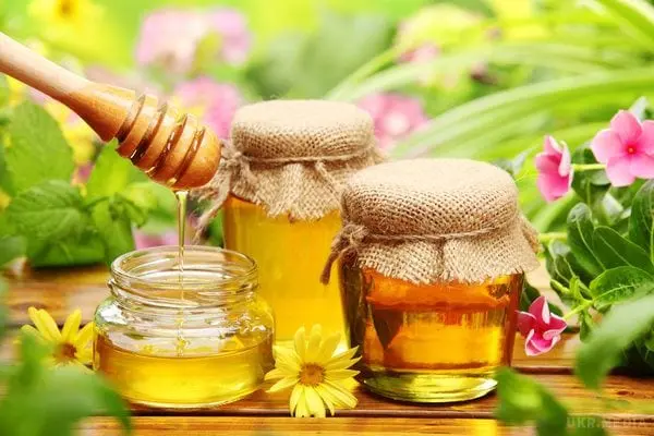 Types of Honey. Features and description of honey types