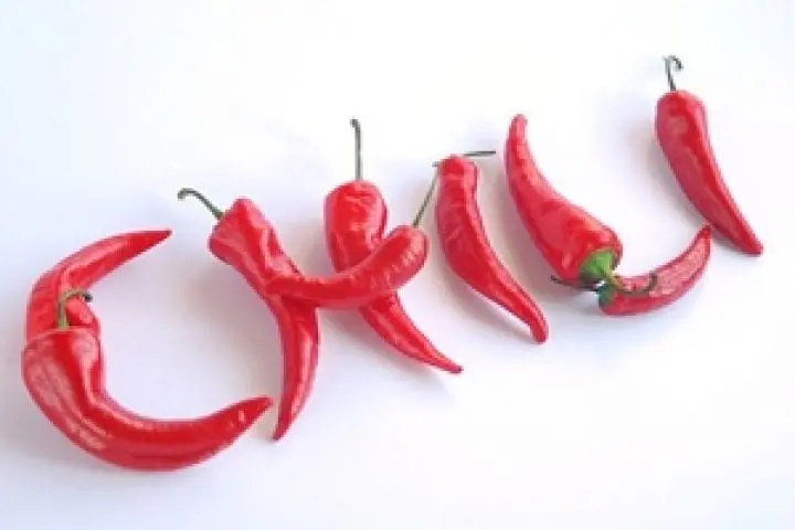 Chili pepper &#8211; description of the spice. Health benefits and harms