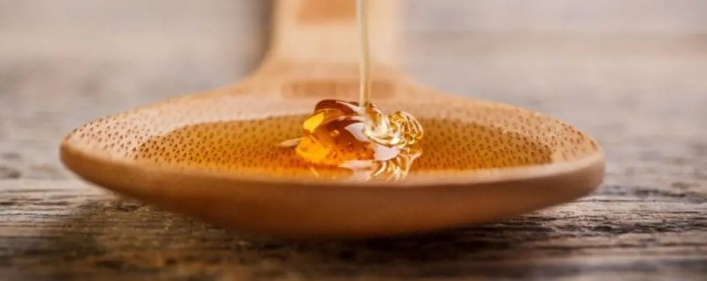 Types of Honey. Features and description of honey types