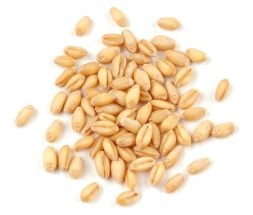 小麦（谷物，软谷物）–卡路里含量和化学成分