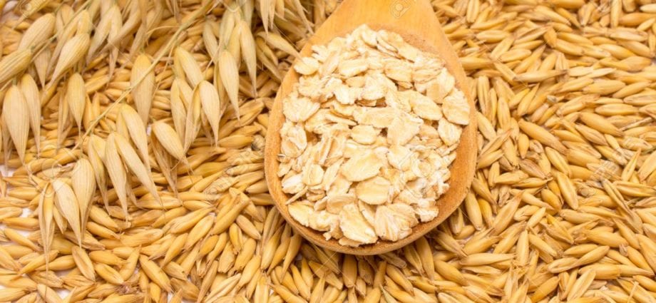 Oat (grain) &#8211; calorie content and chemical composition