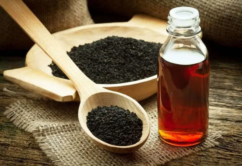 Black cumin oil &#8211; description of the oil. Health benefits and harms