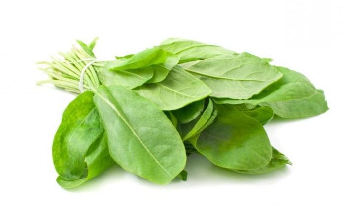 Sorrel (verts) - teneur en calories et composition chimique