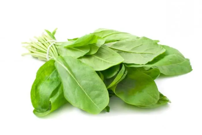 Sorrel (greens) &#8211; calorie content and chemical composition