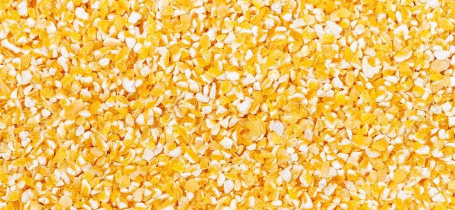 Corn groats &#8211; calorie content and chemical composition