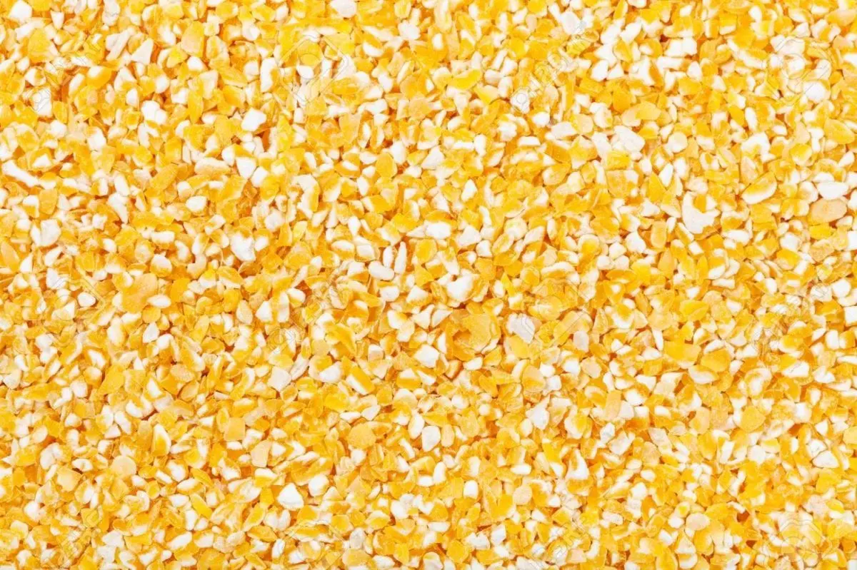Corn groats &#8211; calorie content and chemical composition