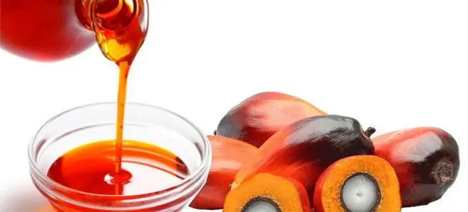 Palm oil &#8211; oil description. Health benefits and harms