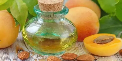 Apricot kernel oil &#8211; description of the oil. Health benefits and harms