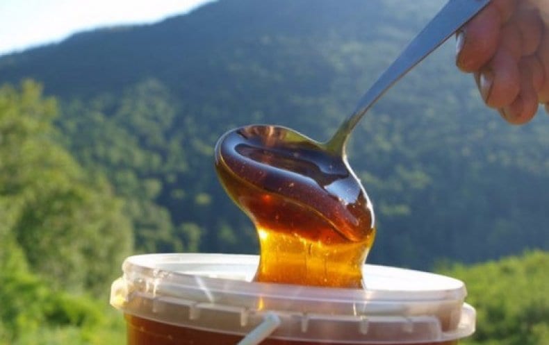 Types of Honey. Features and description of honey types