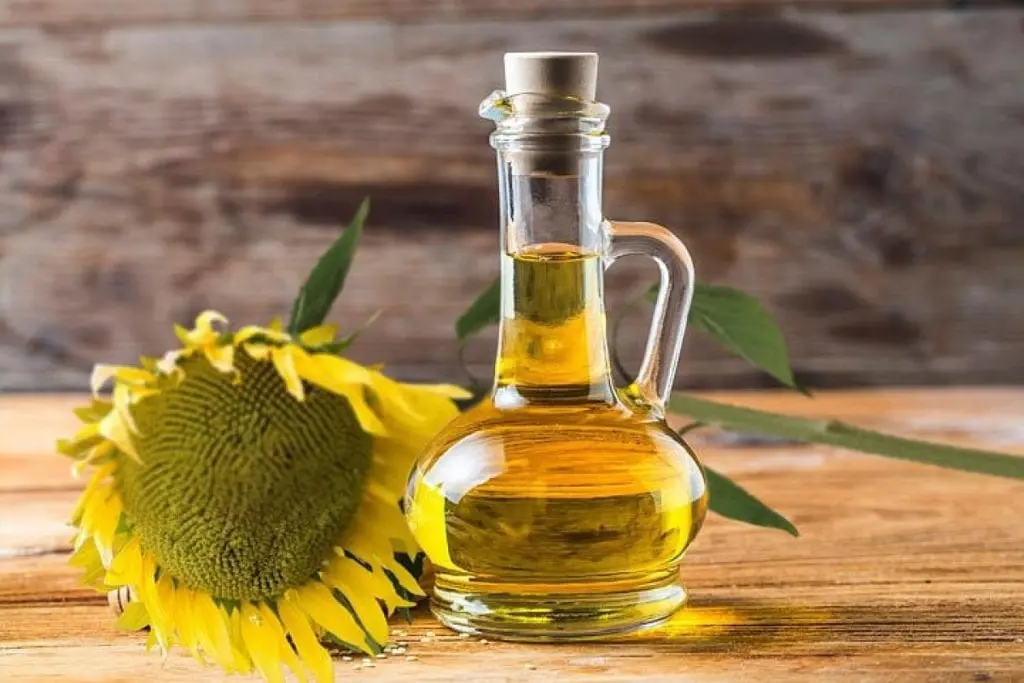 Sunflower oil &#8211; description of the oil. Health benefits and harms