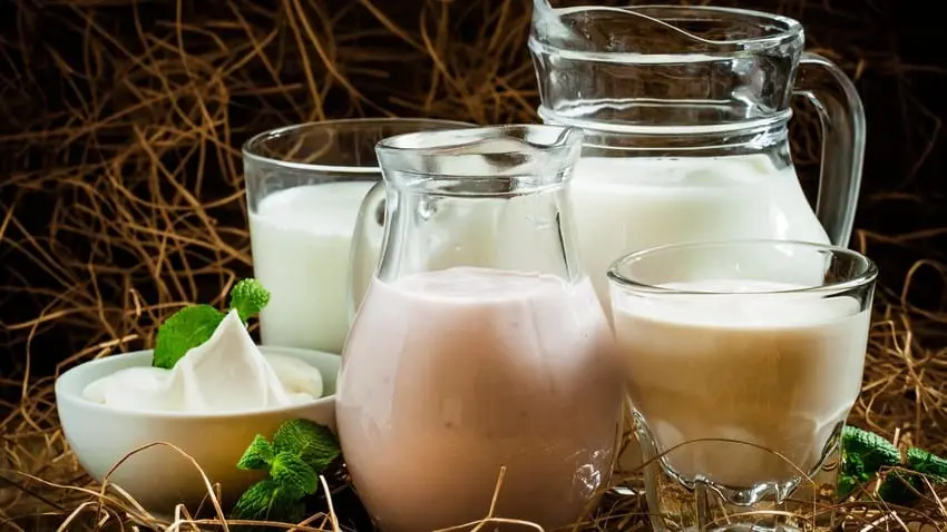 Fermented baked milk 1% &#8211; calorie content and chemical composition