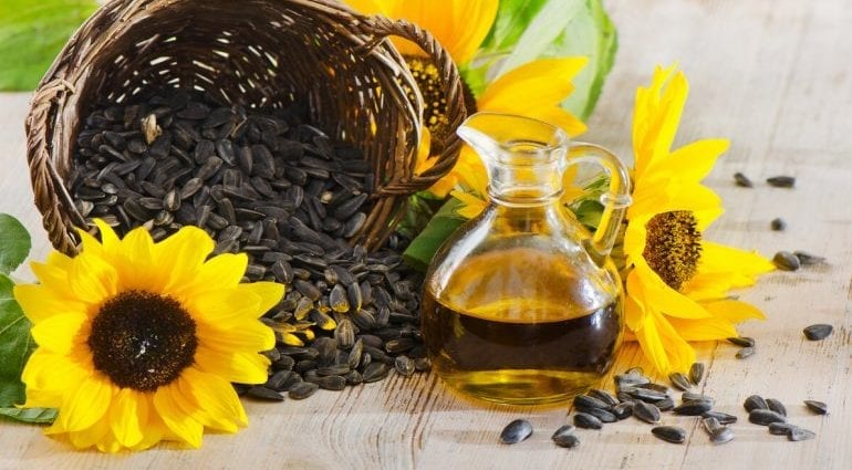 Sunflower Oil &#8211; calorie content and chemical composition