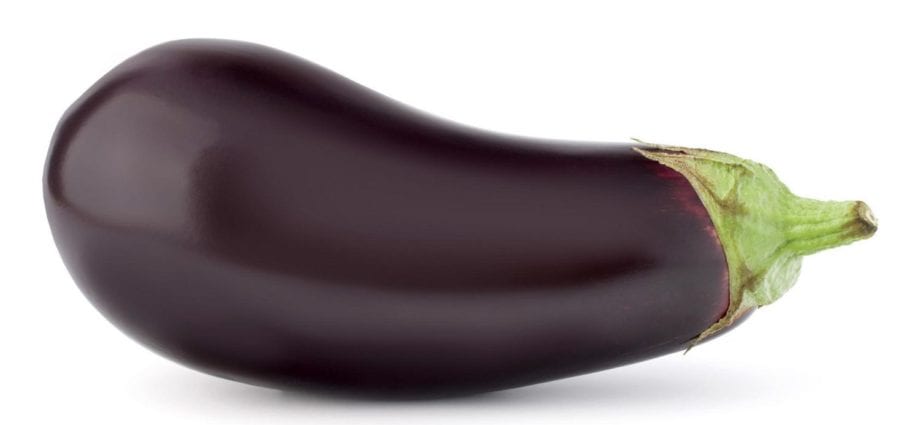 Eggplant &#8211; calorie content and chemical composition