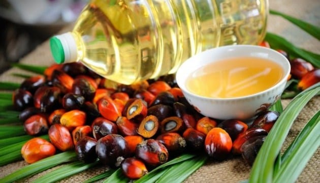 Palm Oil &#8211; calorie content and chemical composition