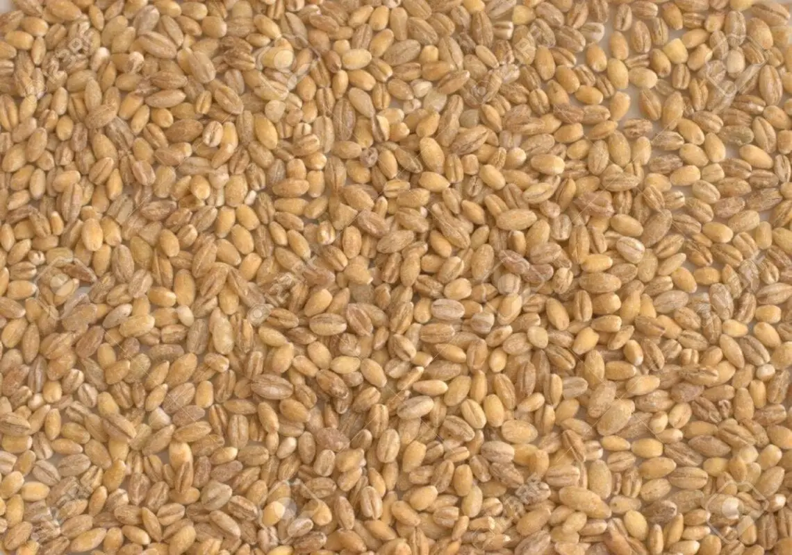 Peeled barley &#8211; calorie content and chemical composition