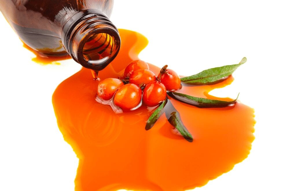 Sea buckthorn oil &#8211; description of the oil. Health benefits and harms