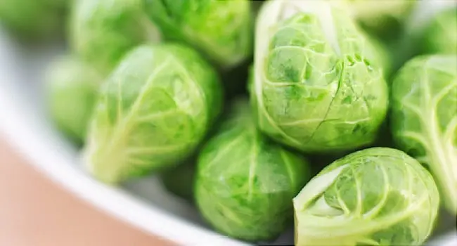 Brussels Sprouts &#8211; calorie content and chemical composition