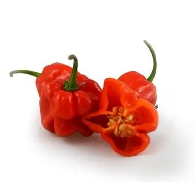 Chili pepper &#8211; description of the spice. Health benefits and harms